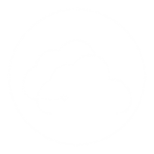 noun_cloud storage_1716489_FFFFFF.webp